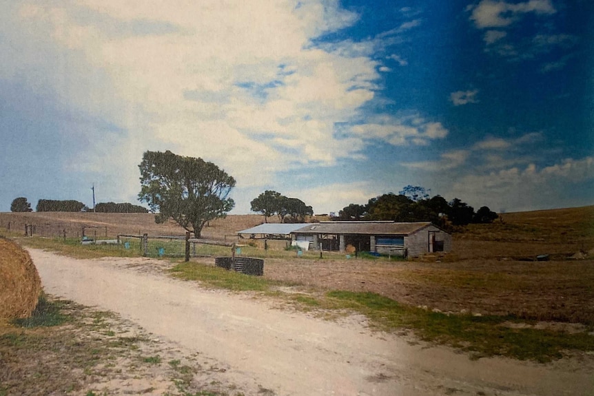 A tin pig shed on a rural property