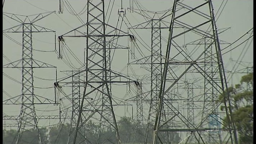 The State Government has been told, given the budget surplus, electricity prices should stay in hold.