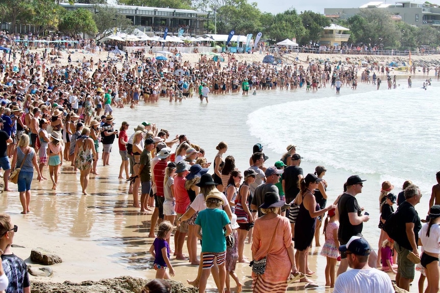 A large throng of people, potentailly thousands, crowded along the shoreline of Noosa Main beach.