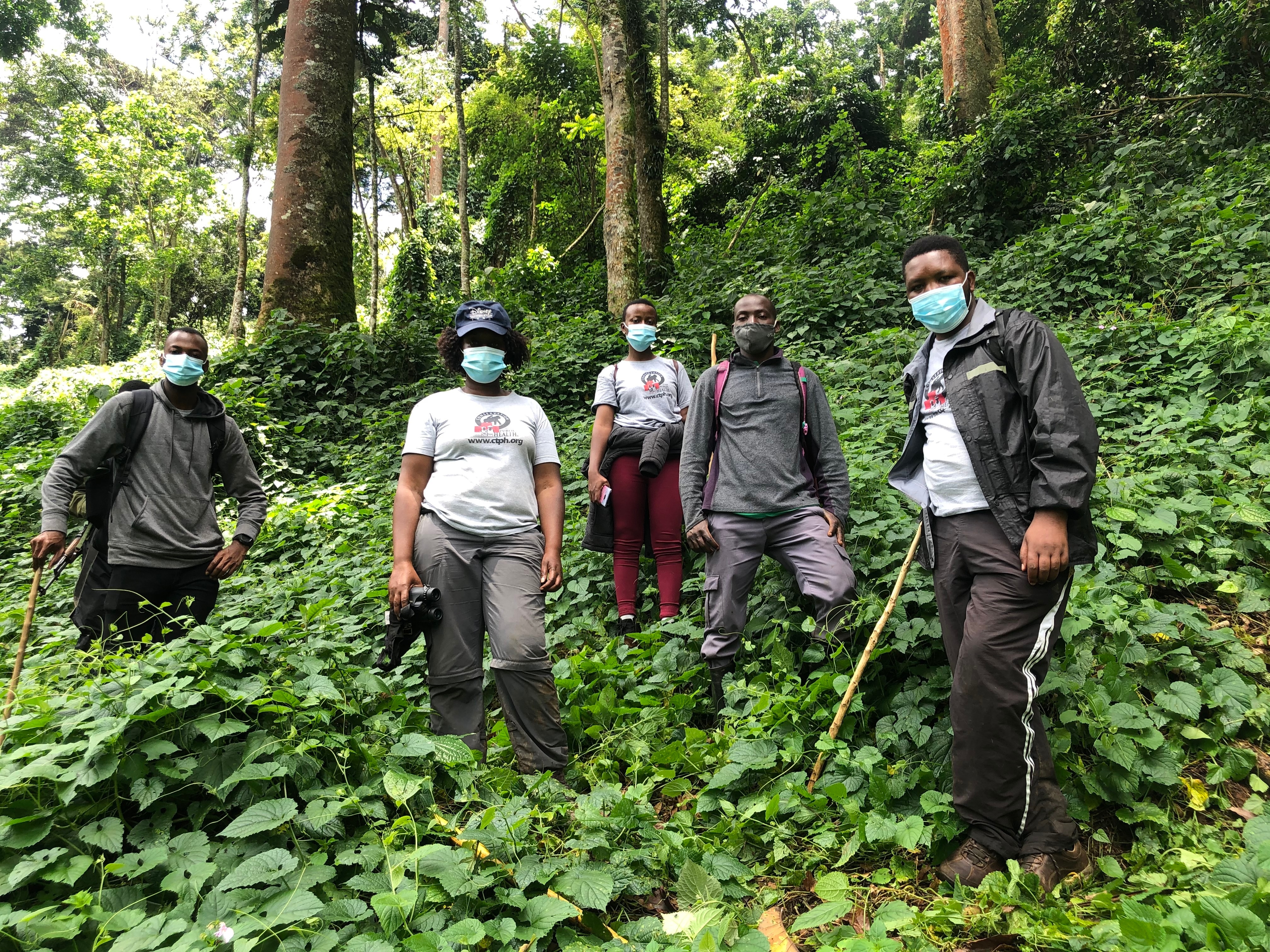 A group of five Ugandan people in hiking gear wearing COVID masks, stand in a thick lush forest.