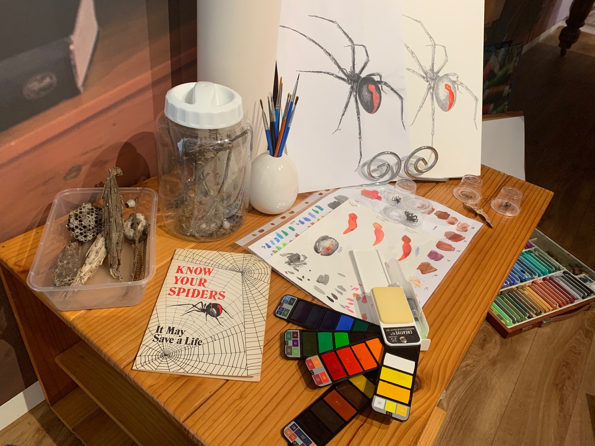 table with sketch of a redback spider