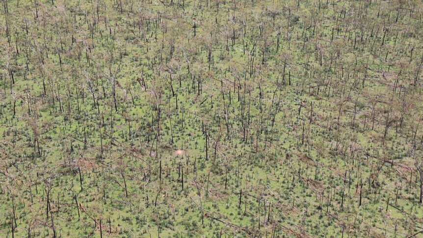 Vision from Cyclone Lam hit Elcho Island