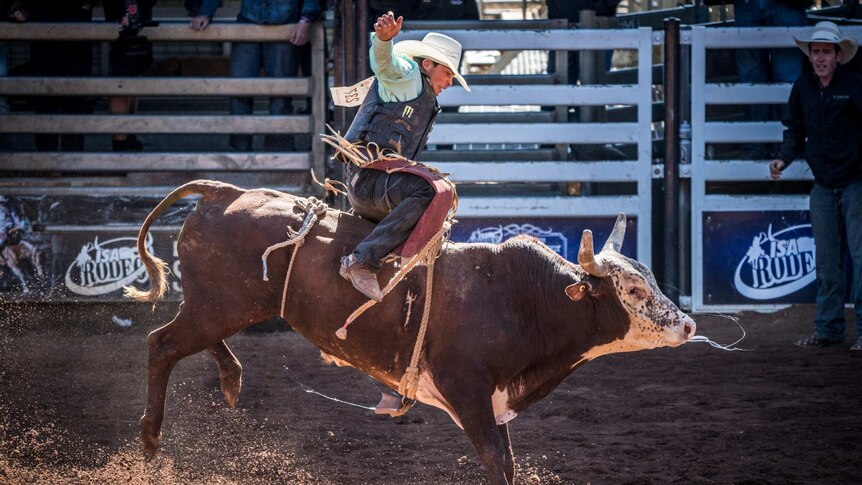 Cody holding onto the bull.