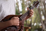 person sitting playing mandolin, close view of hands and fingers on instrument