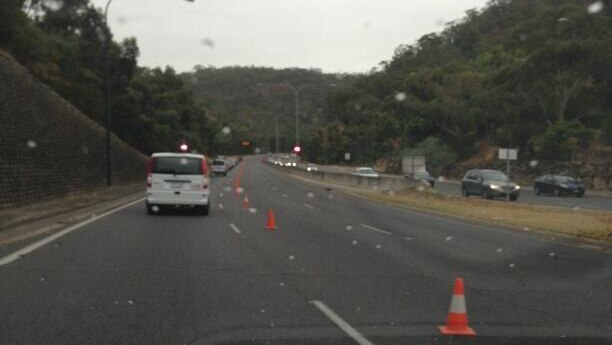 Cones along the Freeway