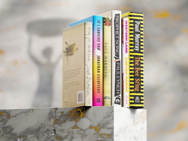 Six books lined up on a shelf.