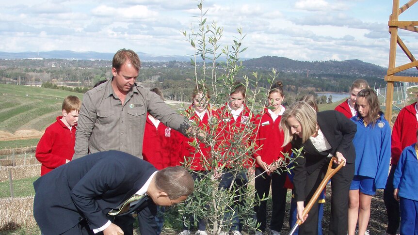 United Nations' Secretary-General Ban Ki-moon has planted an olive tree at the National Arboretum Canberra.