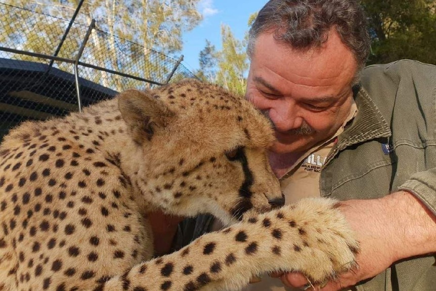 Mark Stone wears a khaki jacket, hugging a large cheetah