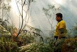 Man in work uniform stands in smoke-filtered light calmly watches bracken on fire