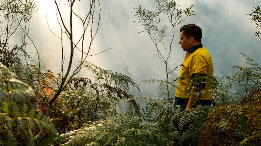 Man in work uniform stands in smoke-filtered light calmly watches bracken on fire