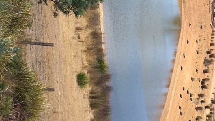 a wide view of a farm dam with very low water levels and bare countryside