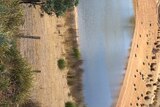 a wide view of a farm dam with very low water levels and bare countryside