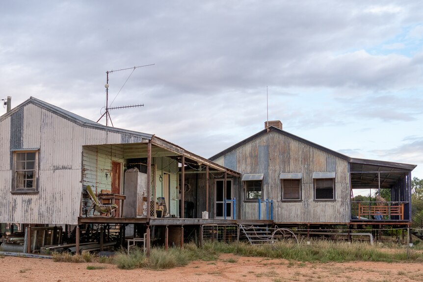 Two corrugated iron-clad buildings with verandas, northwest of Longreach, November 2022.