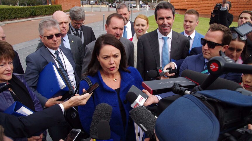 WA Deputy Premier Liza Harvey speaks to reporters with a group of Liberal Cabinet Ministers standing behind her.