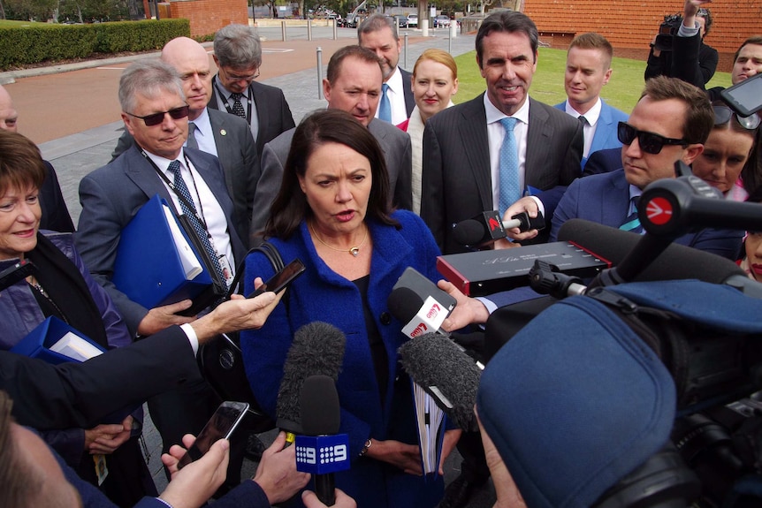 WA Deputy Premier Liza Harvey speaks to reporters with a group of Liberal Cabinet Ministers standing behind her.