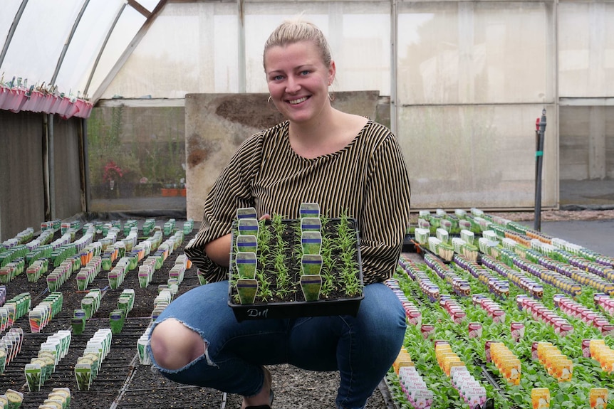 Nursery manager Michaella Clements with dill seedlings.