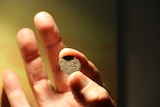 A Kilwa coin held by historian Mike Owens in Darwin.