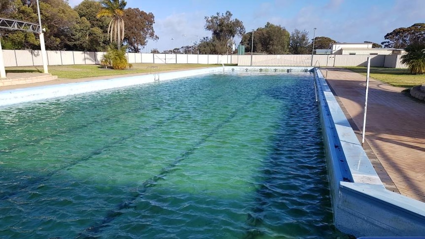 Green swimming pool at Lake Grace