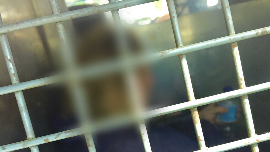 A woman with a blurred face sits in the back of a police van.