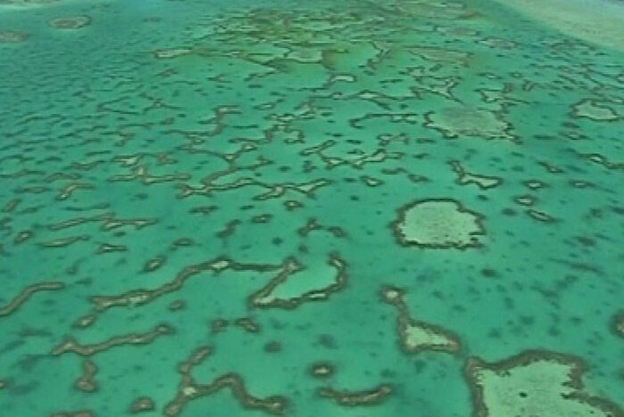 TV still of aerial shot of Great Barrier Reef coral and ocean, off north Queensland.