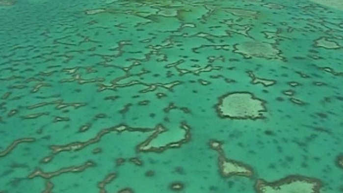 TV still of aerial shot of Great Barrier Reef coral and ocean, off north Queensland.