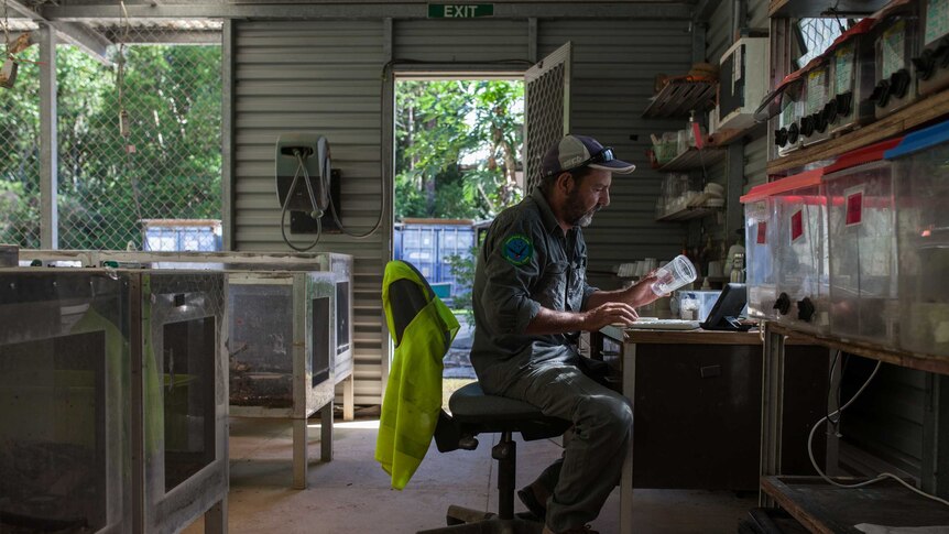 Kent Retallick at his desk examining skink eggs on Christmas Island.