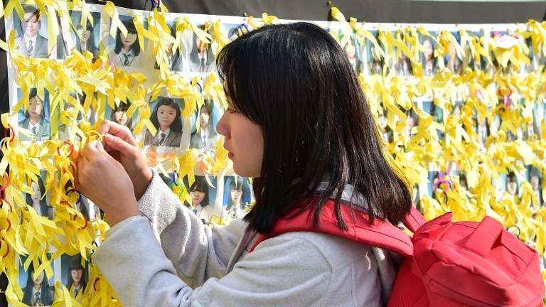 Sewol ferry protester