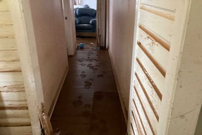 A hallway with thick brown mum on the floor and up the walls