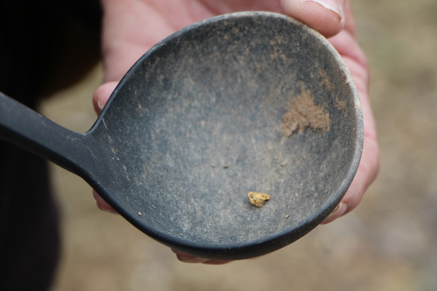 A soup ladle with a tiny speck of gold in the middle