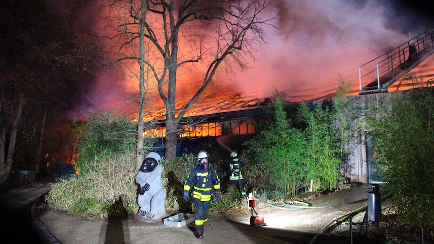 Firefighters stand in front of a burning monkey house wearing gas masks.