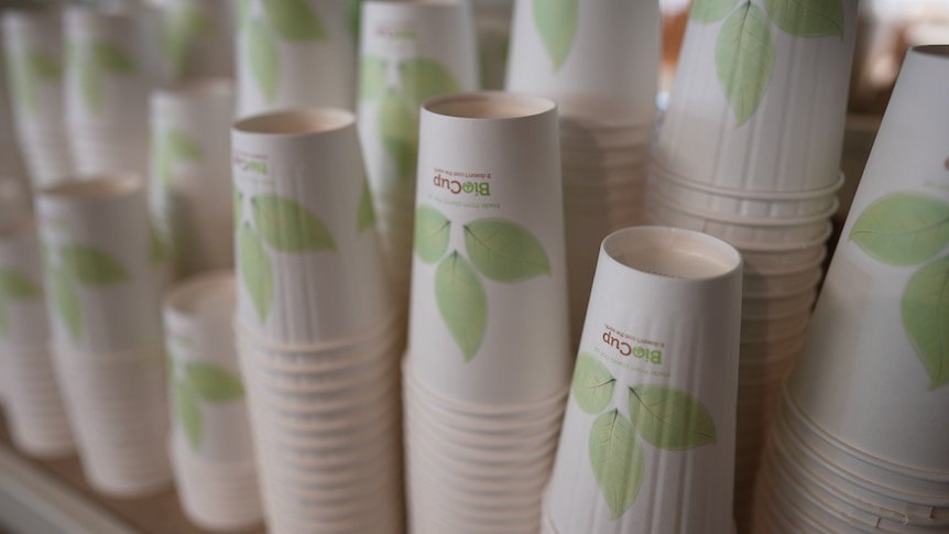 A big stack of BioPak takeaway coffee cups sit on a table.