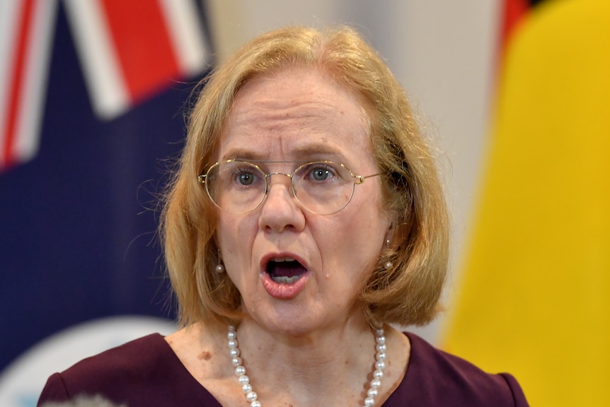 Queensland Chief Health Officer Dr Jeannette Young talks at a media conference in Brisbane