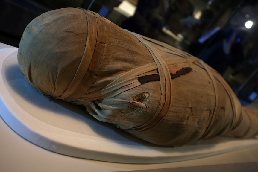 Up-close and personal: the wrapped mummy of Shepenmehyt, dated around 600BC.