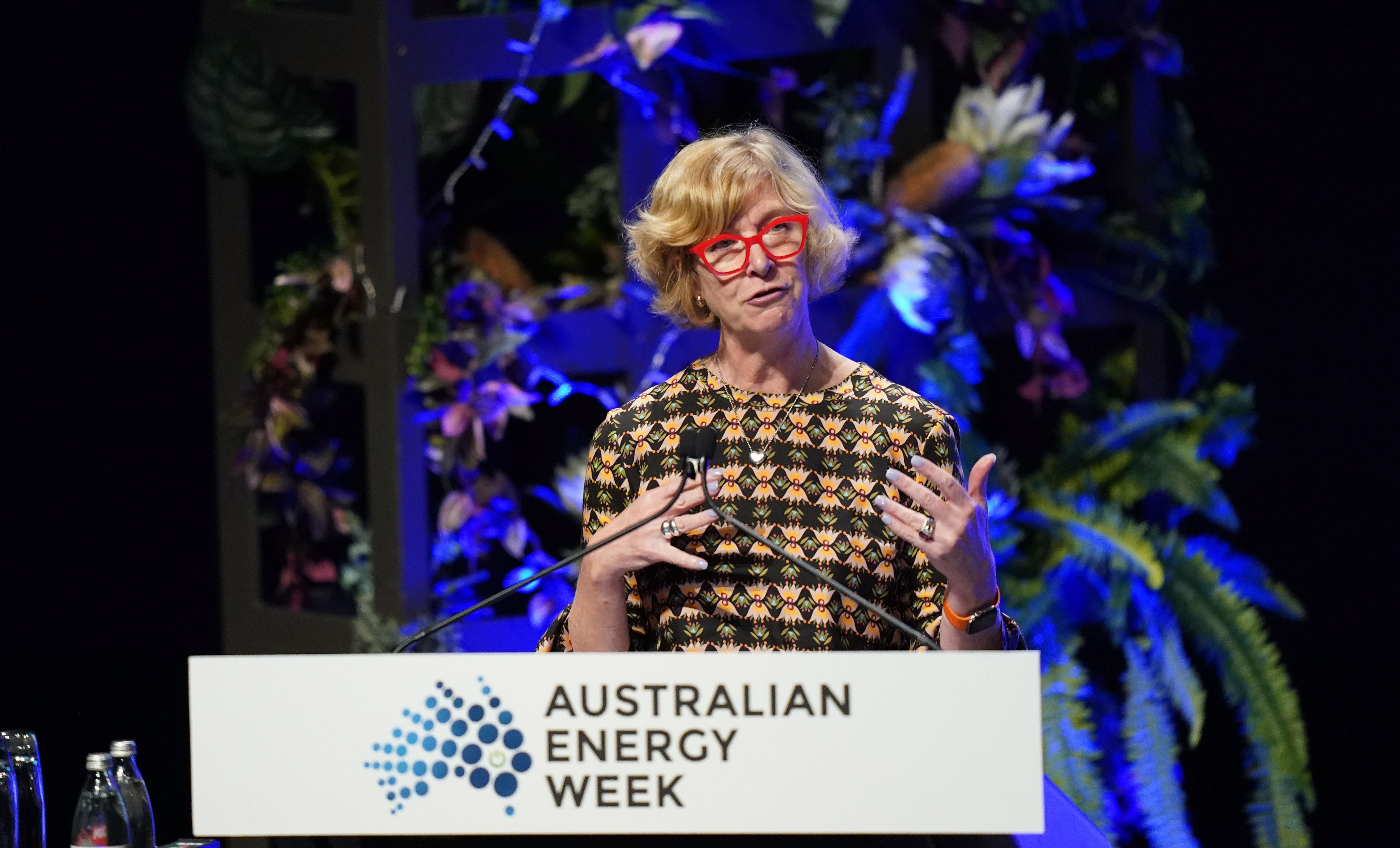 Anna Collyer explaining on the podium