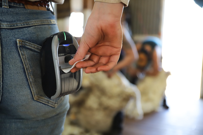 A person wears a tag printer on their back jean pocket.