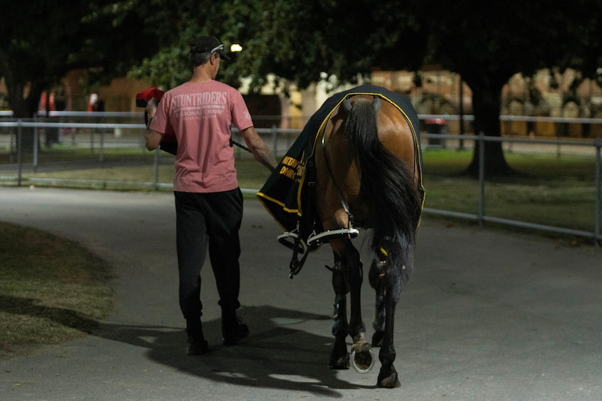 A man walks with a horse near the stables.