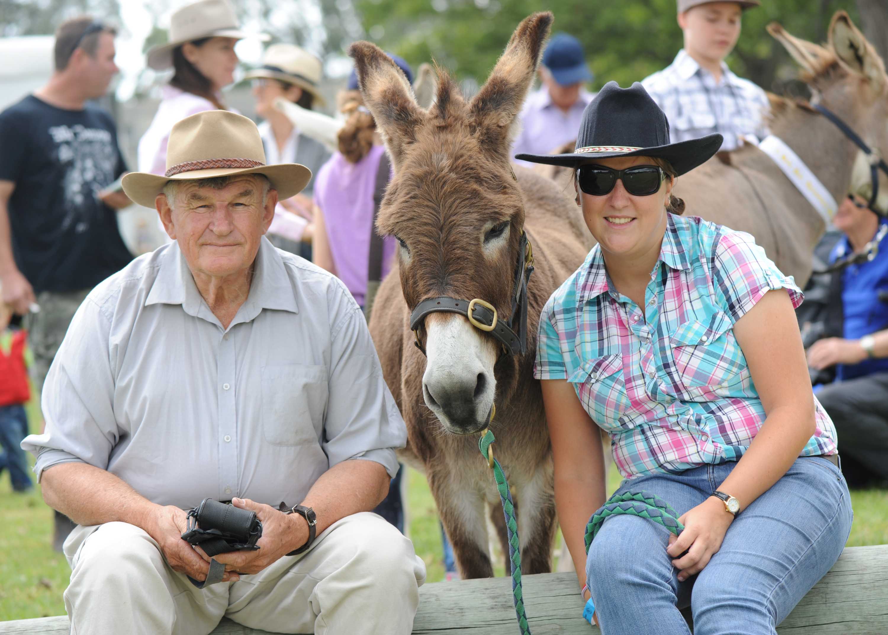 Castle Hill Show can't go on after 130 years ABC News