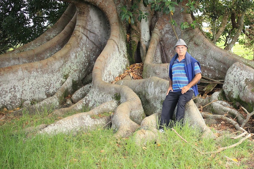 Uncle Michael Welsh stands before the Moreton Bay fig tree.