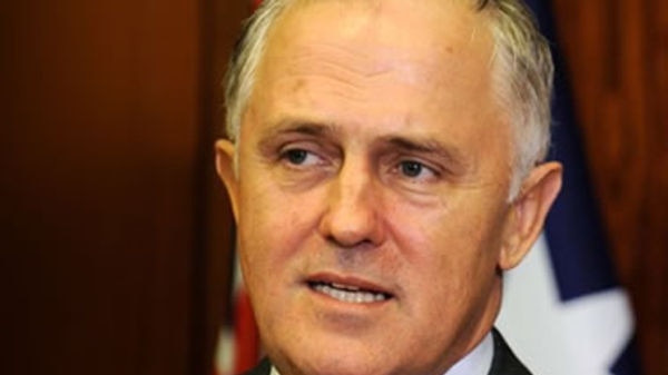 Sceptical: Opposition communications spokesman Malcolm Turnbull