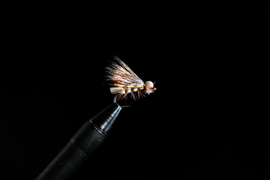 Fly fishing fly tied in Tasmania, knows as a Bowerman's hopper