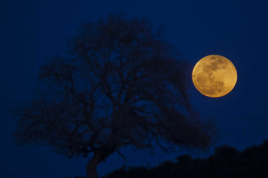 A super blue blood moon rises over Michmoret, Israel.