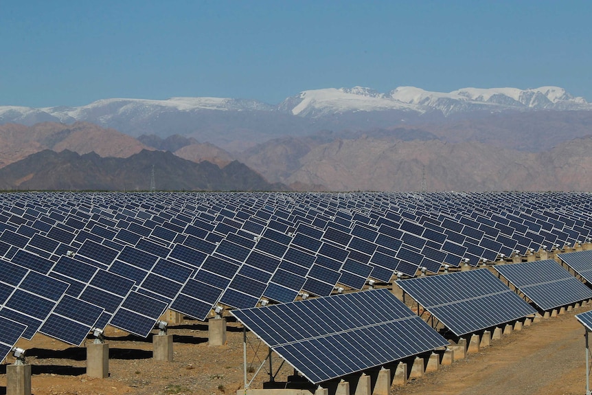 Large solar panels are seen in a solar power plant in northwest China