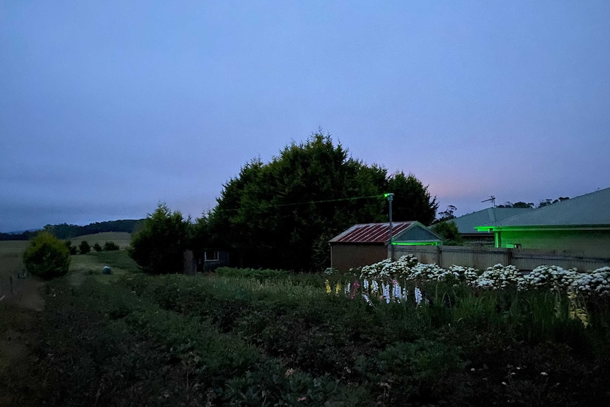 The Bird Beam shoots a green laser across Andrew Craigie's crop at dusk.