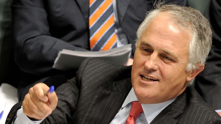 Mr Turnbull has accused the Government of mishandling the introduction of an unlimited guarantee on all bank deposits.