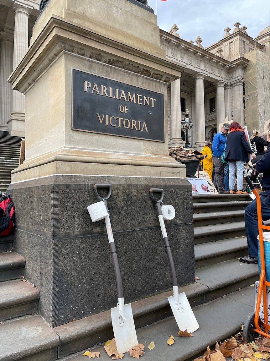 Toilet rolls attached to shovel handles lean against a stone pillar of the parliament steps.