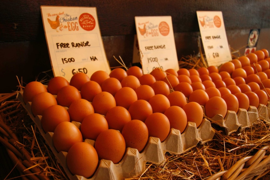Free range eggs for sale at South Melbourne Market