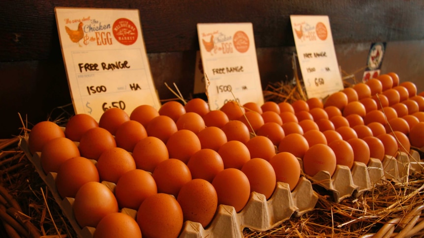 Eggs on display at a market stall