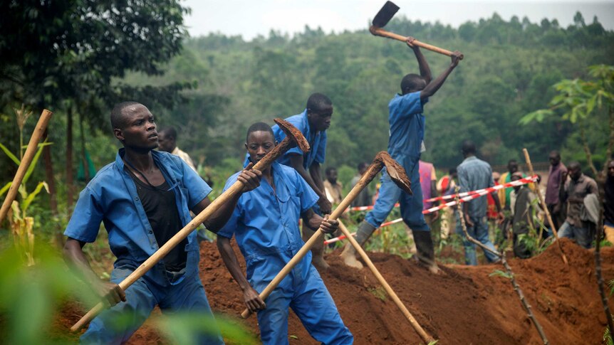 Burundian workers dig with hoes within a red and white taped area.