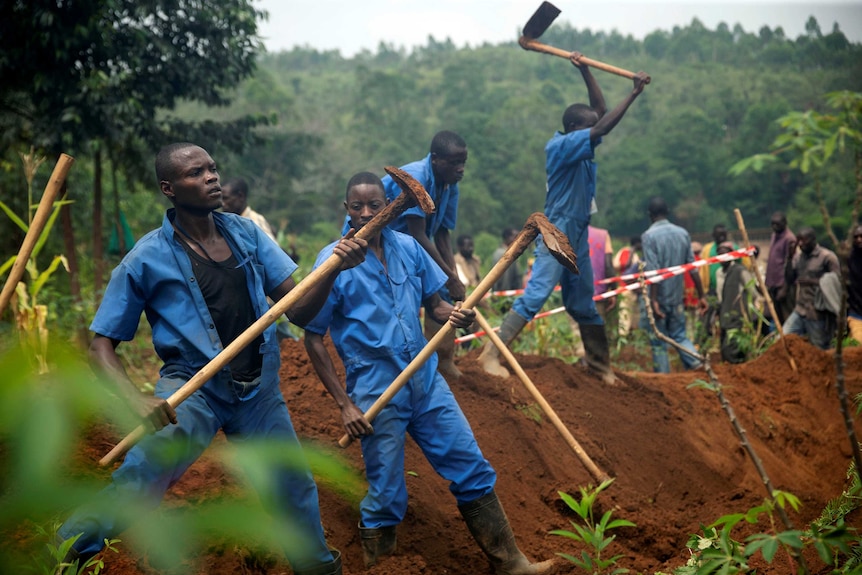 Burundian workers dig with hoes within a red and white taped area.