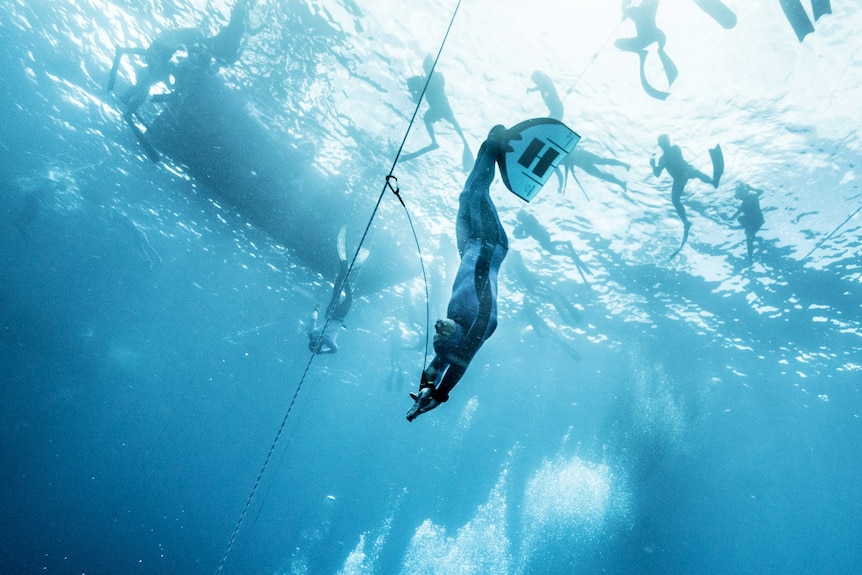 A diver in a wetsuit wearing a snorkel and fin swims deeper into the ocean's depths.